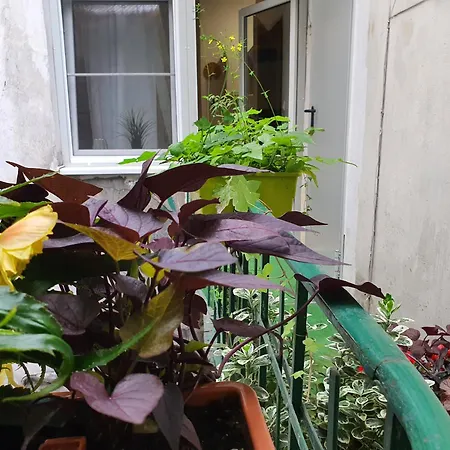 Apartmán Ok Lux Krakov